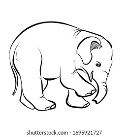 sketch, vector of an elephant lifting a leg