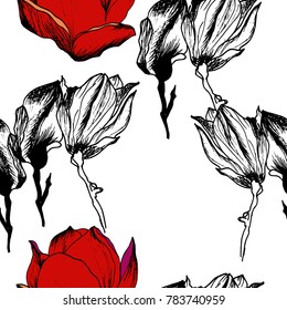 Sketch vector flower and bird pattern , hand drawn background