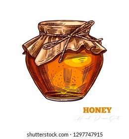 Sketch vector glass jar full of honey isolated on white. Hand drawn color glass jar full of mead. Engraving illustration for beekeeping and apiculture company and business. Bee product