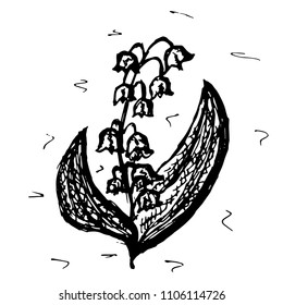 Sketch vector graphics with floral pattern for design. Flower may-lily natural design.