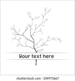 Sketch vector, hand drawn illustration of beautiful branches, isolated on white