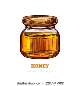 Sketch vector honey packing template isolated on white. Hand drawn glass jar full of mead. Engraving colorful illustration for beekeeping and apiculture company and business. Bee product
