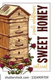 Sketch vector honey poster or card. Template and design for beekiping business with hand drawn illustrations of wooden beehive with clover flowers with typography