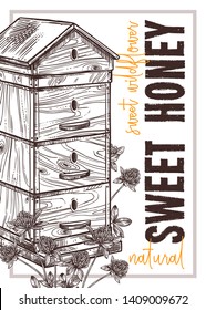 Sketch vector honey poster or card. Template and design for beekiping business with hand drawn illustrations of wooden beehive with clover flowers with typography