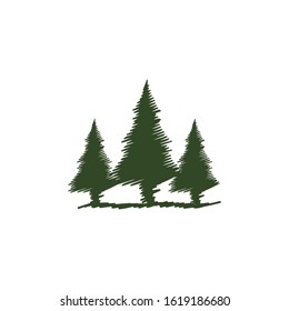 sketch vector icon evergreen tree