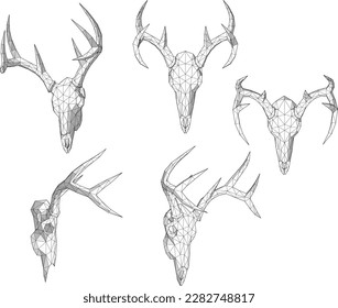 sketch vector illustration of deer antler head wall decoration