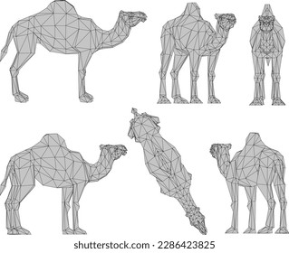 ilustración vectorial de boceto de un camello desértico