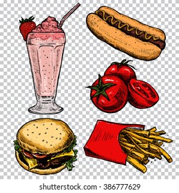 Sketch vector illustration. Hamburger, milkshake, tomatoes and hot dog. 