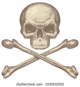 Sketch vector illustration, hand drawn human skull and crossbones isolated on white background. Jolly Roger. Pirate symbol or danger warning sign