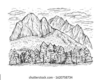 Sketch vector illustration with hand drawn high mountains, clouds and coniferous forest. Engraving style. Black line isolated on white. Design for print, cover and poster