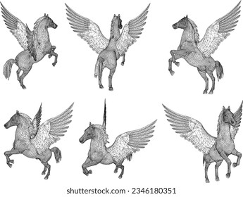 Sketch vector illustration of mythological animal flying horse pegasus