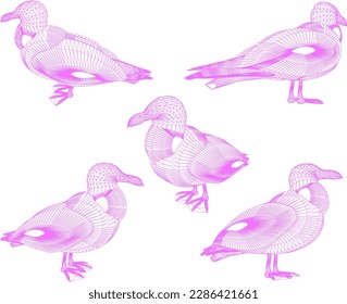 sketch vector illustration of a seagull on the beach