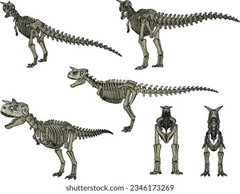 Sketch vector illustration of the skeletal structure of a prehistoric t-rex dinosaur fossil 