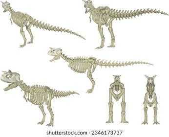 Sketch vector illustration of the skeletal structure of a prehistoric t-rex dinosaur fossil