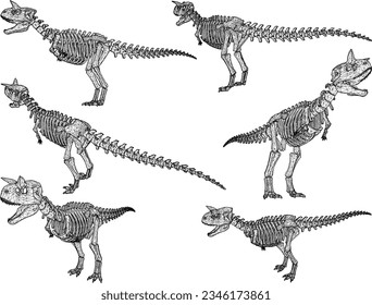 Sketch vector illustration of the skeletal structure of a prehistoric t-rex dinosaur fossil