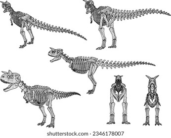 Sketch vector illustration of the skeletal structure of a prehistoric t-rex dinosaur fossil
