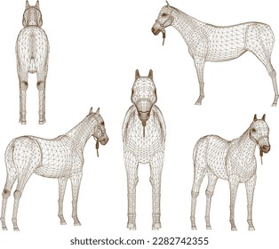 sketch vector illustration of tame horse on nature farm