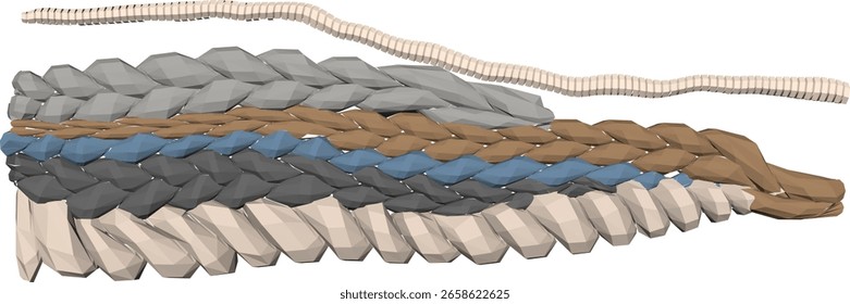 sketch vector illustration of unique classic vintage ethnic traditional woven rope decoration design