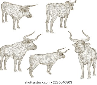 sketch vector illustration of a wild bull with horns