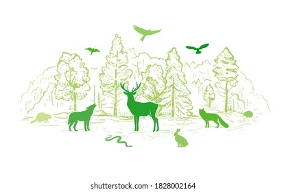 Sketch vector landscape with forest and animals. Flat animals silhouettes in green colors. Wolf, deer, beaver, snake, hare, fox, hedgehog and birds. Design for t-shirt print, cover, poster, banner, ca