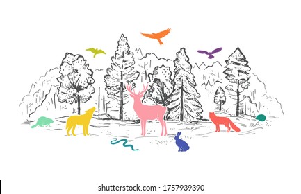 Sketch vector landscape with forest and colorful animals. Flat animals silhouettes. Wolf, deer, beaver, snake, hare, fox, hedgehog and birds. Design for t-shirt print, cover, poster, web, banner