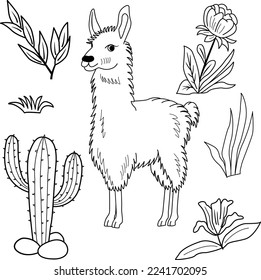 Sketch of vector llama, flowers, grass, and leaves. Illustration of an alpaca on the lawn for a children's coloring book