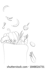 Sketch vector paper package with ripe vegetables from the farm. Colorful vector illustration on white background. Hand-drawn. Template. Mock up.
