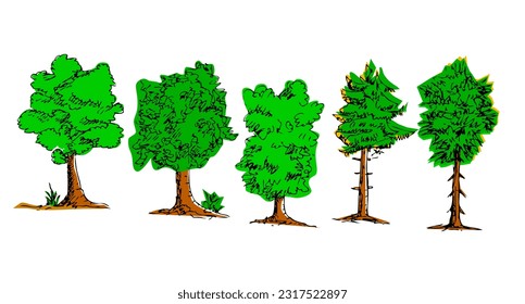 conjunto de vector de esbozo 5 árbol grande aislado en blanco
