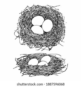 Sketch Vector set of different hand drawn nests with eggs on white background. Vector vintage sketch style illustration. 