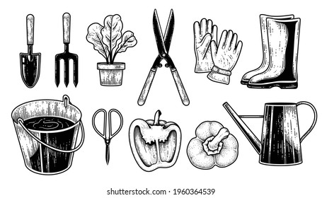 Sketch vector set of gardening tools. Trowel, Fork, Plant pot, Hedge shears, Gloves, Boots, Bucket, Scissor, Bell pepper, and Watering can Hand drawn illustration