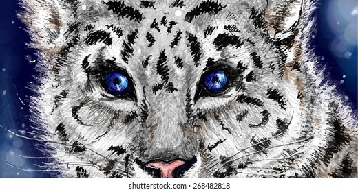 Sketch vector snow leopard