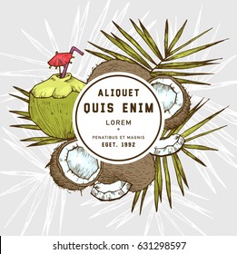 Sketch vector tropical food illustration. Coconut nut vintage design template. Botanical fruit. Engraved coconut with template design label