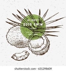 Sketch vector tropical food illustration. Coconut nut vintage design template. Botanical fruit. Engraved coconut with template design label