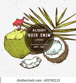 Sketch vector tropical food illustration. Coconut nut vintage design template. Botanical fruit. Engraved coconut with template design label