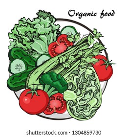 Sketch of vector vegetables on plate. Concept healthy food.