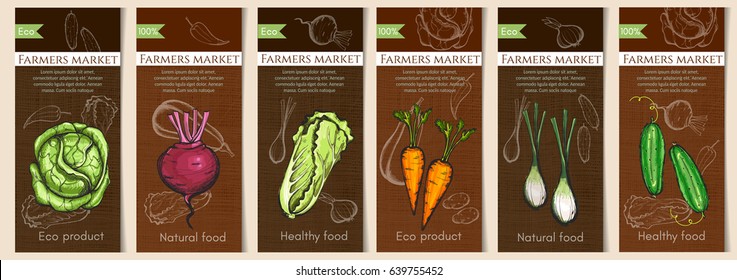 Sketch vegetable banners set. Natural vegetables seeds in packets hand drawn vector. Vegetable seeds packets template. Eco vintage foods 