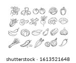 Sketch vegetable icon set vector illustration. Black line contour sketch vegetables, tomato and onion, potato and pepper doodle icon on white background for restaurant menu vintage design