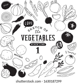 Sketch of the vegetables collection
