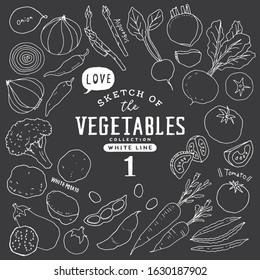 Sketch of the vegetables collection