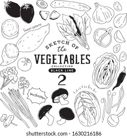 Sketch of the vegetables collection
