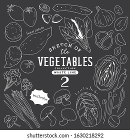 Sketch of the vegetables collection