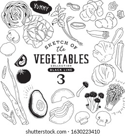 Sketch of the vegetables collection