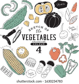 Sketch of the vegetables collection