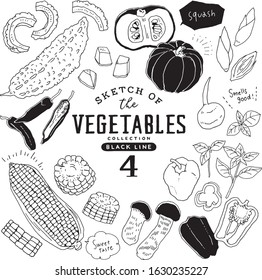 Sketch of the vegetables collection