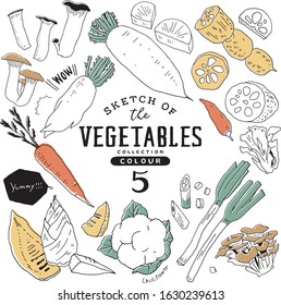 Sketch of the vegetables collection