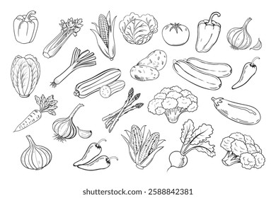 Sketch vegetables icons set. Collection of hand drawn farm product for restaurant menu, market label. Black and white illustration.