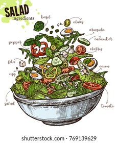 Sketch vegetables salad with levitation ingredients products and plate. Hand drawn vector illustration of flying healthy food