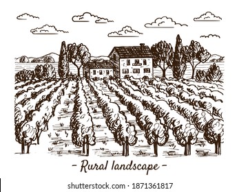 A sketch of a vineyard landscape. Handmade illustration. There are beautiful views of mountains, trees, houses, clouds and plantations. Suitable for decorating wine and natural products.