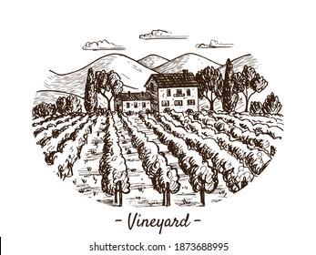 A sketch of a vineyard landscape. Handmade illustration. There are beautiful views of mountains, trees, houses, clouds and plantations. Suitable for decorating wine and natural products.