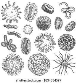 Sketch virus. Bacteria, coronavirus germ biology micro organic elements. Covid-19 viruses, cancer cells hand drawn engraving vector set. Illustration germ micro, covid-19 drawn sketch microbe